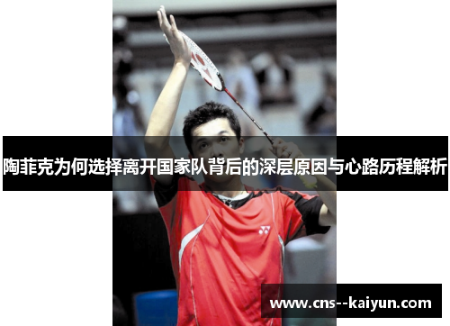 陶菲克为何选择离开国家队背后的深层原因与心路历程解析